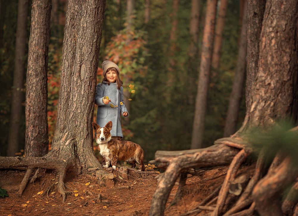 В осеннем лесу (In the autumn forest)
