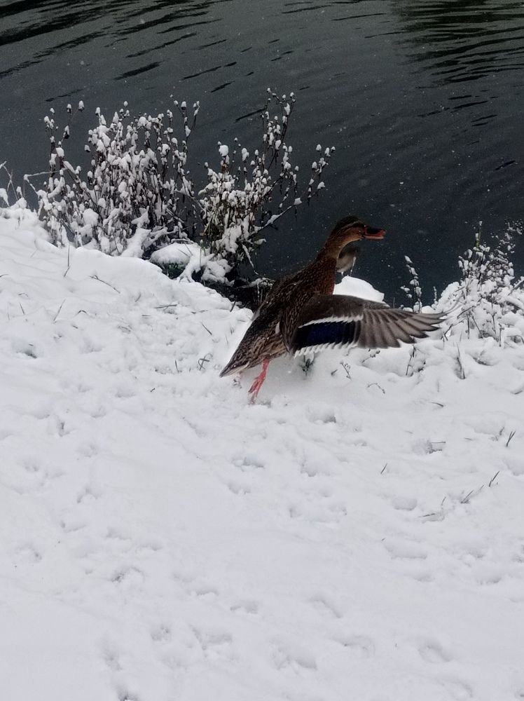 Photograph by Ирина Немкина