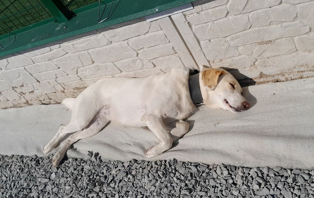 Photograph by Татьяна Ситникова