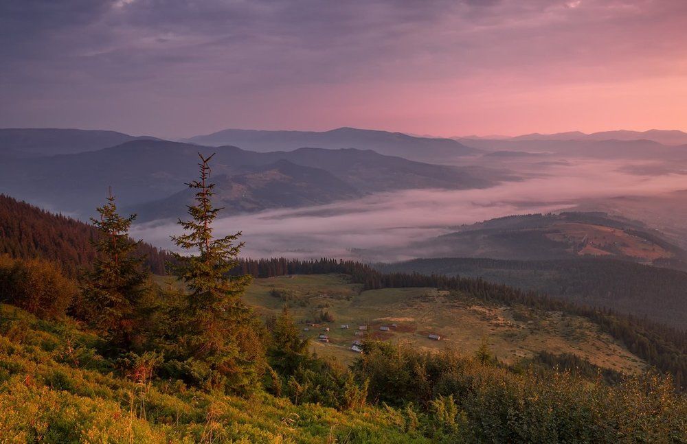 Полонина Шесса