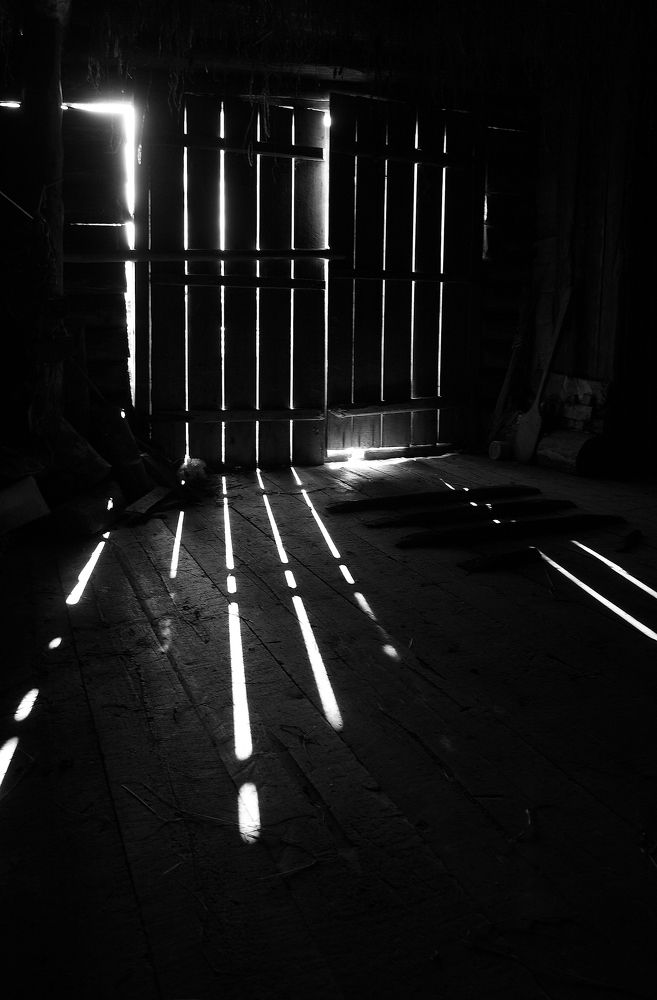 Photograph by Поташев Александр