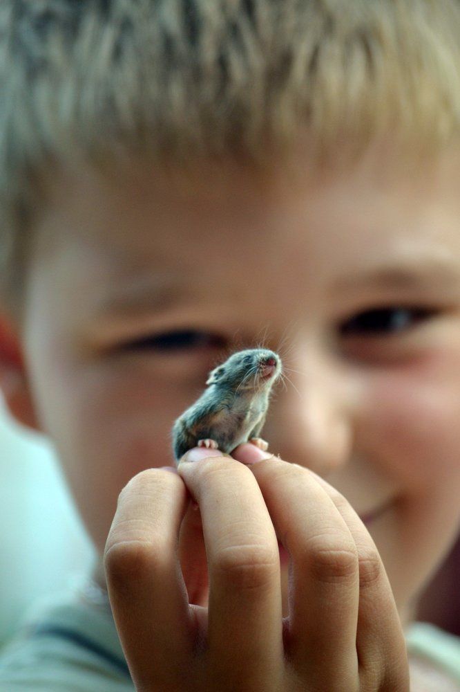 Photograph by Валерия Твердохлебова