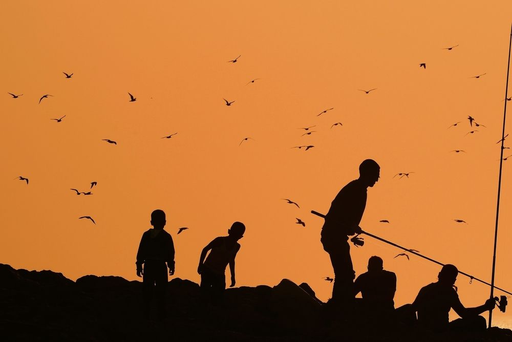 Fishermen and birds
