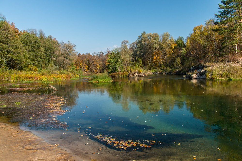 Осень в марийских лесах
