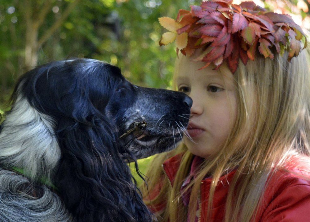 Осенняя грусть