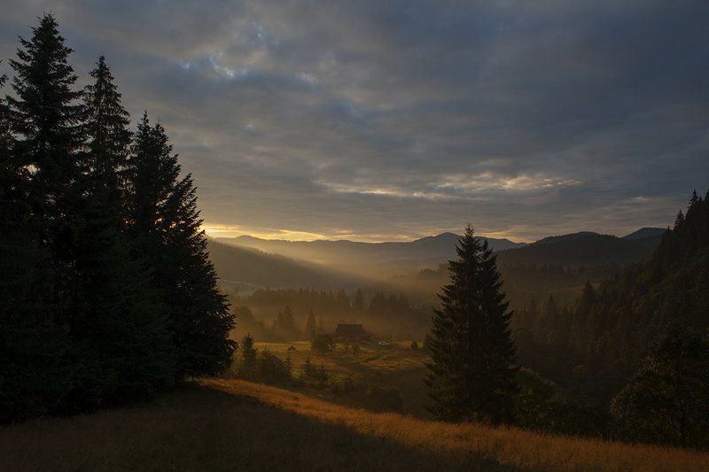 Orest  Syvak, Ukraine