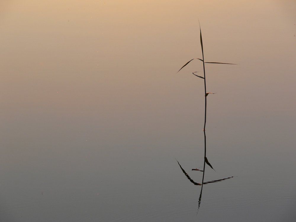 Одиночество