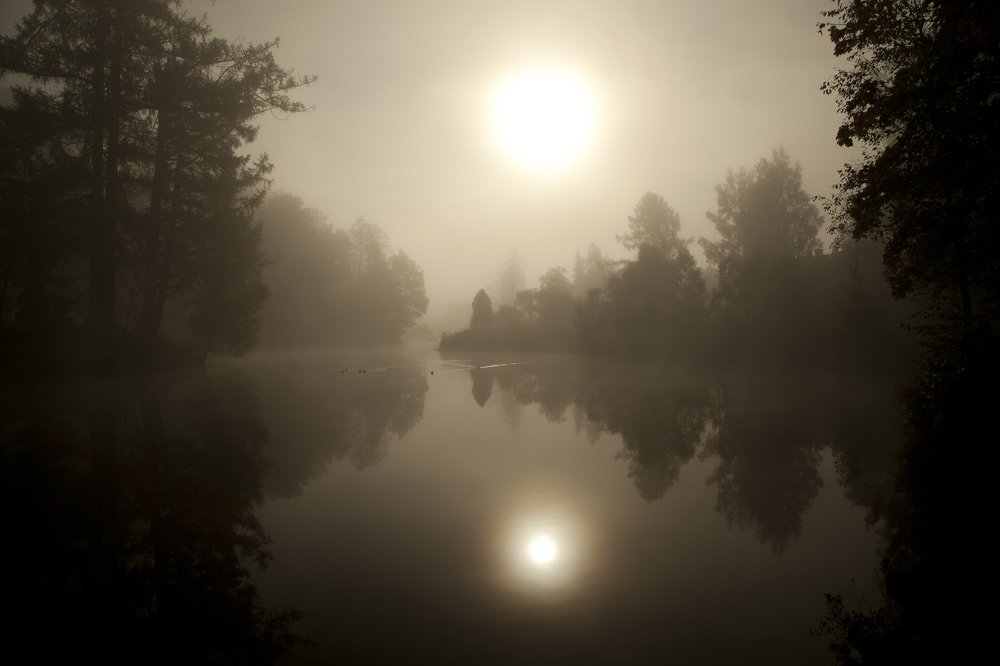 Как сон, как утренний туман...