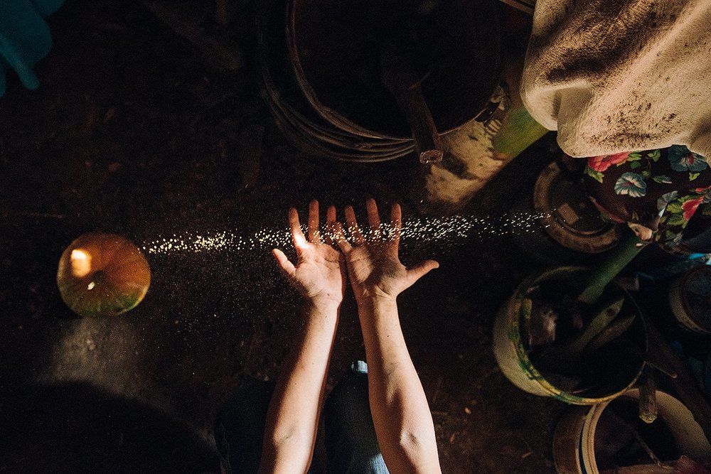 Дотянуться до...