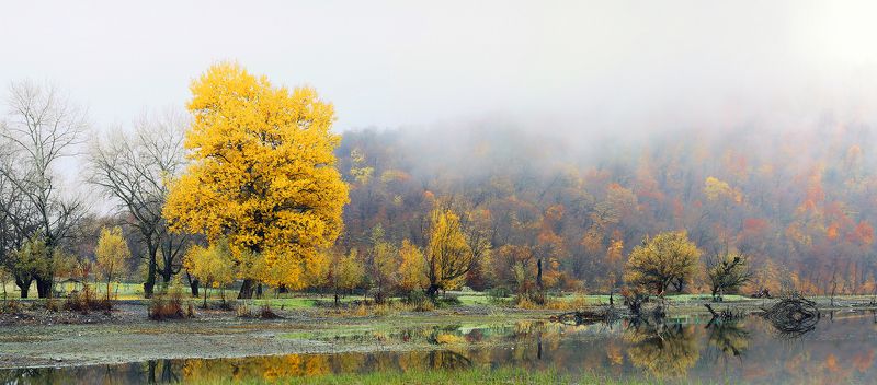 Etibar Jafarov, Azerbaijan