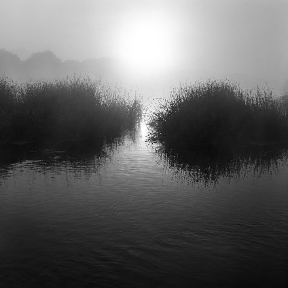 Туманное утро