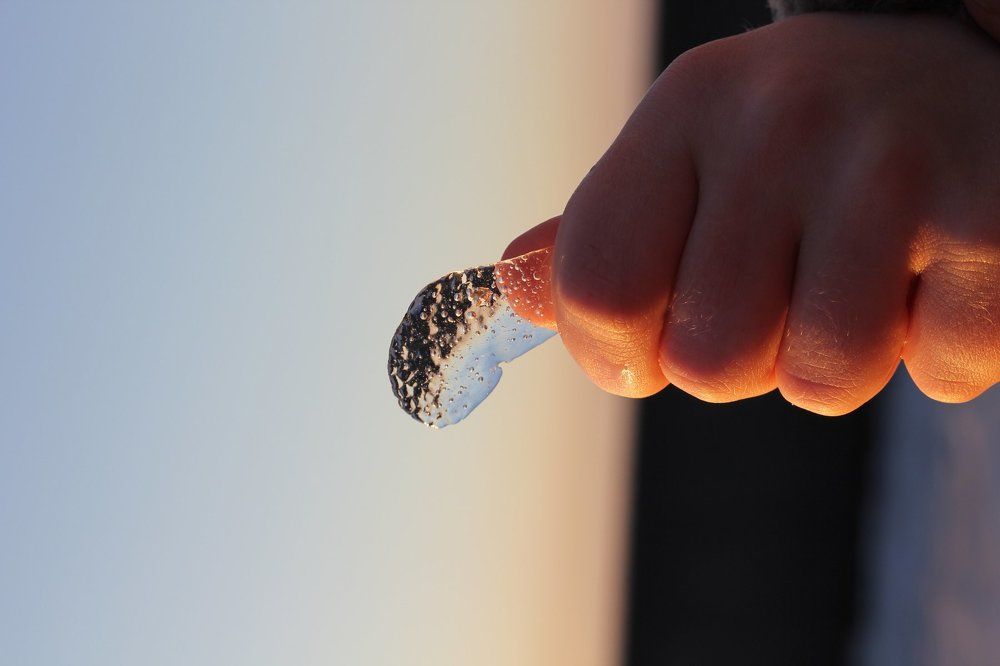 Photograph by Сутягина Юлия