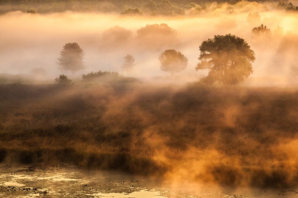 Осенняя соната