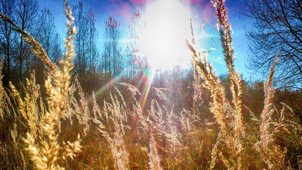 Осеннее утро