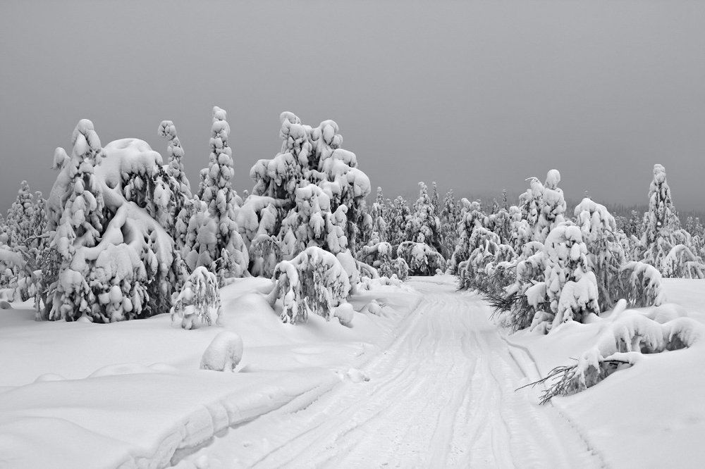 Снежное царство