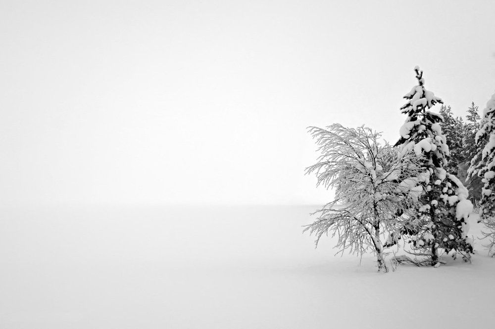 Белая тишина