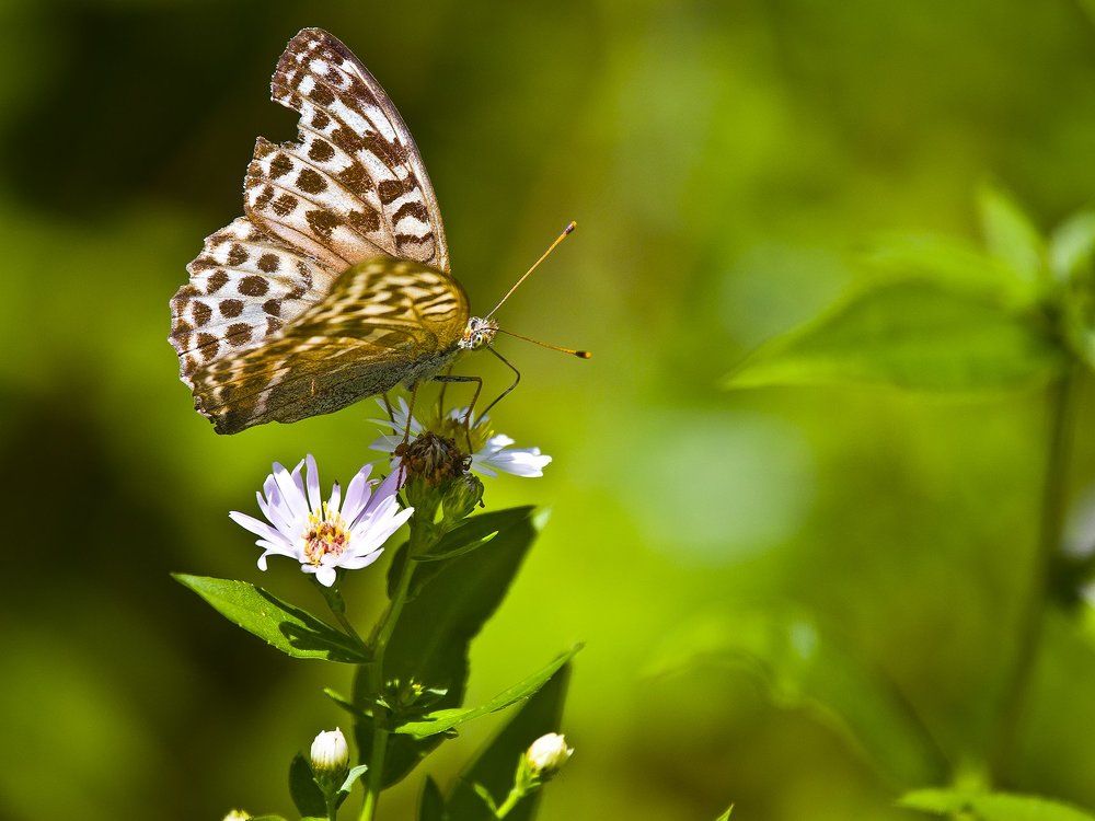 привет из лета