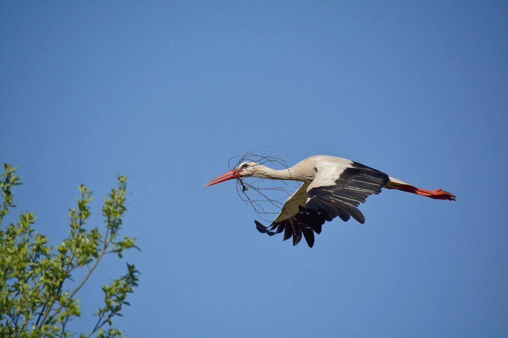 В поисках стройматериалов