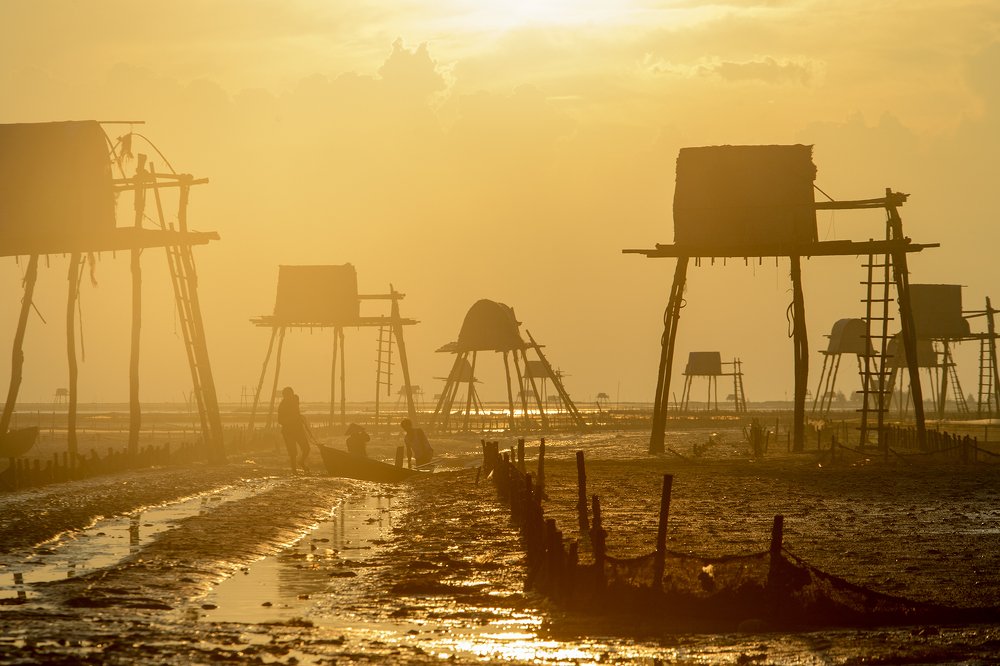 Dawn on the beach clam