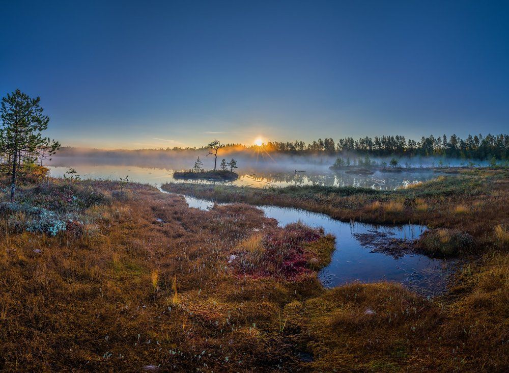 В гостях у сказки