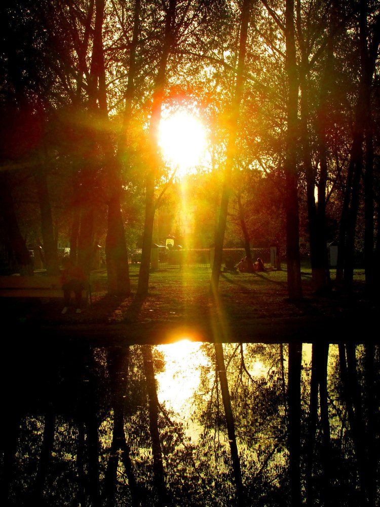 Photo #976764