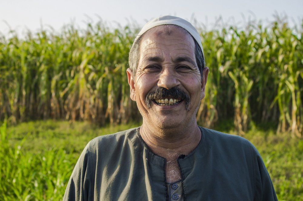 Photograph by Mohamed Gaber Elsayed