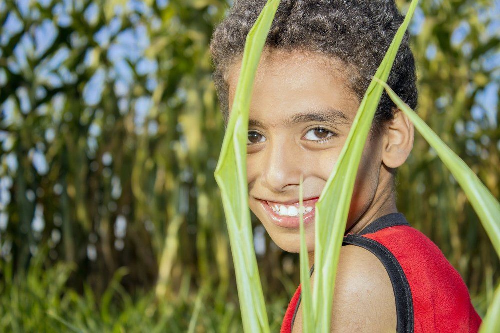 Photograph by Mohamed Gaber Elsayed