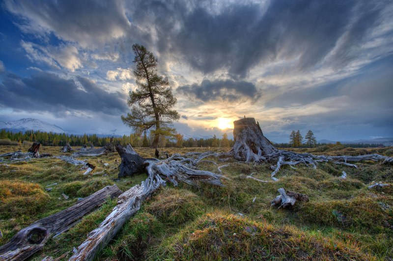 Dmitriy Burtcev, Russia