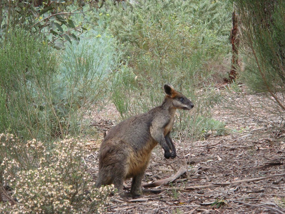 Photograph by Wieslawa Halka