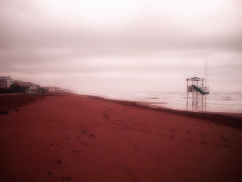 Photograph by Franky Michael