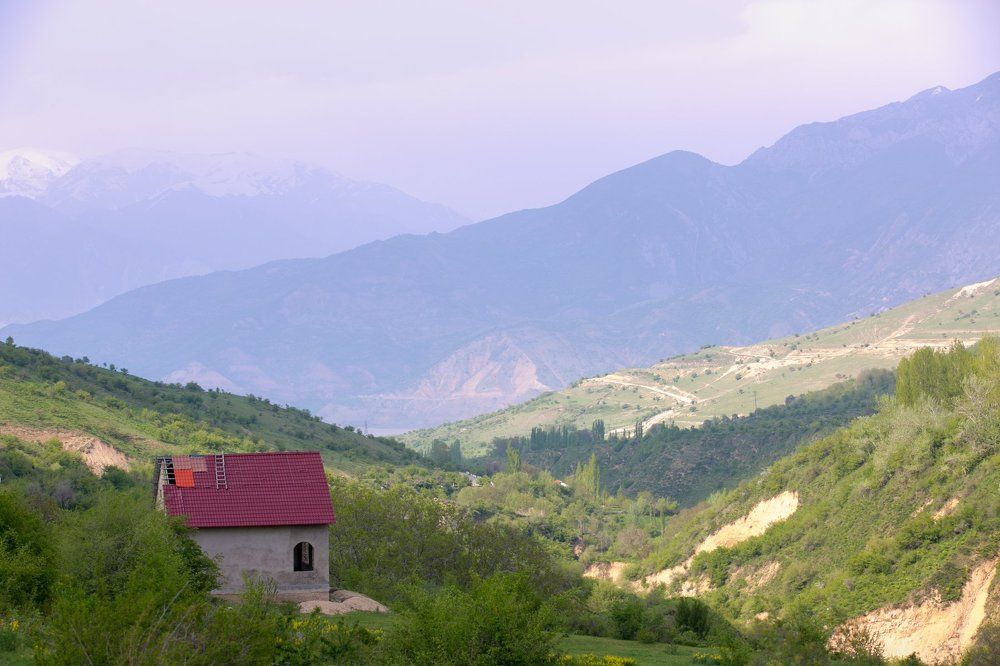 Одинокий домик