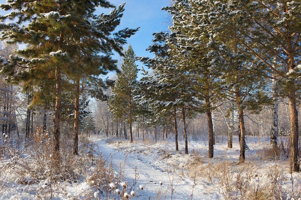 Photograph by Andrey