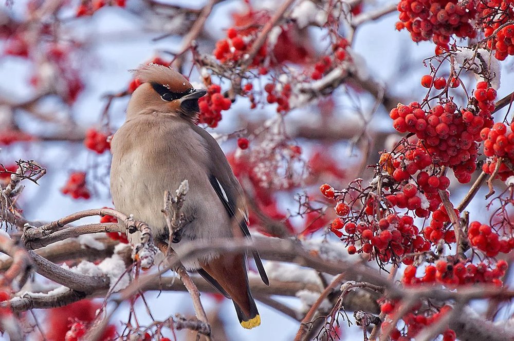 Photograph by Andrey