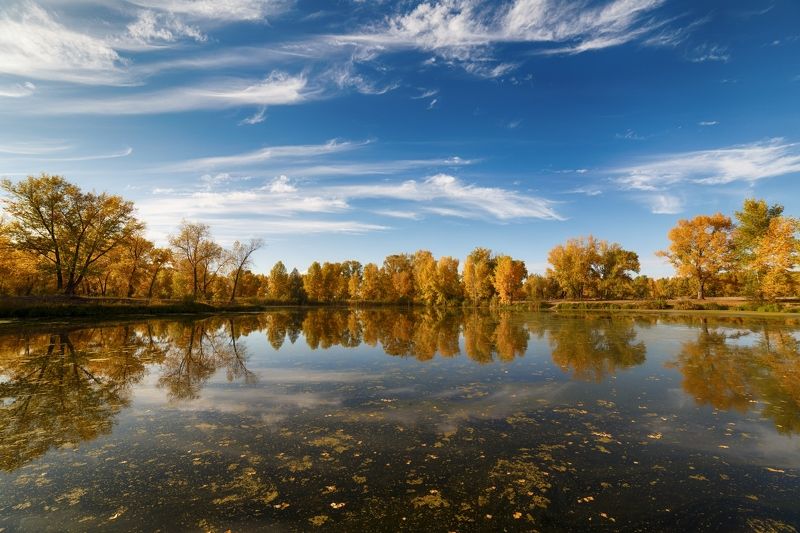Viktor Grishenkov, Kazakhstan