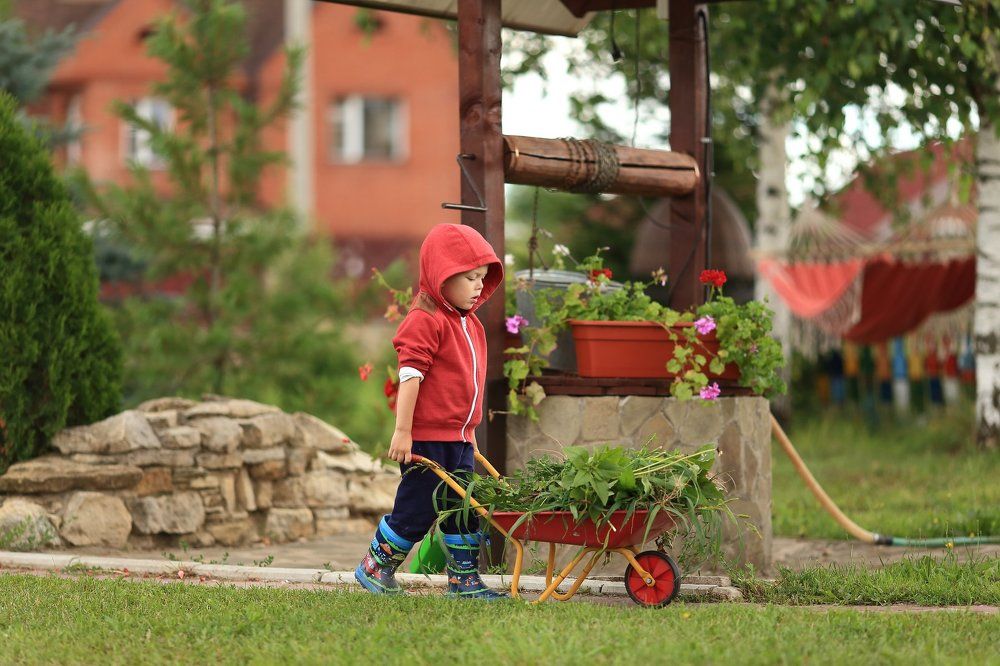 Photograph by Николай