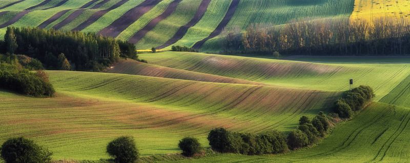 Yauheni Matsiushenkau, Latvia