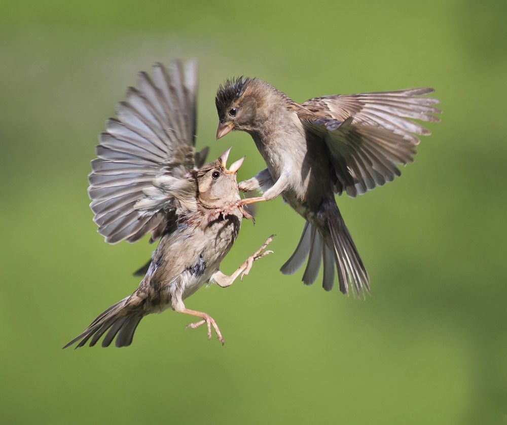посмотри мне в глаза!