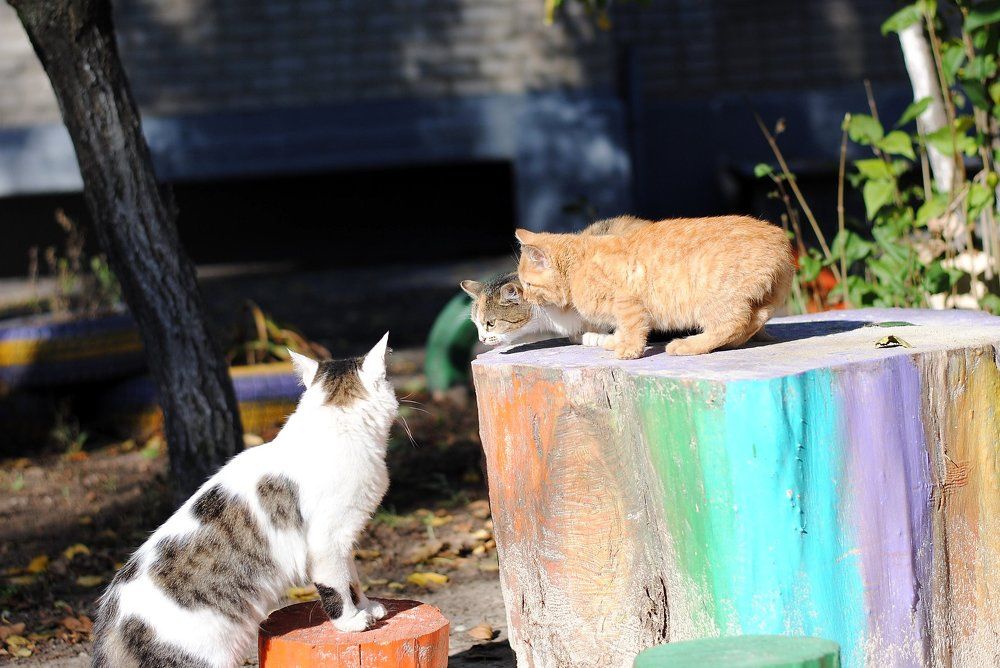 Знакомство