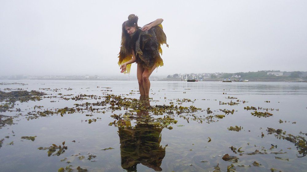 морские Bодоросли