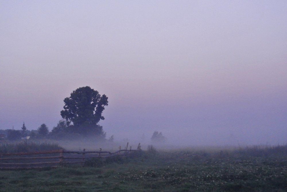Photo #977603