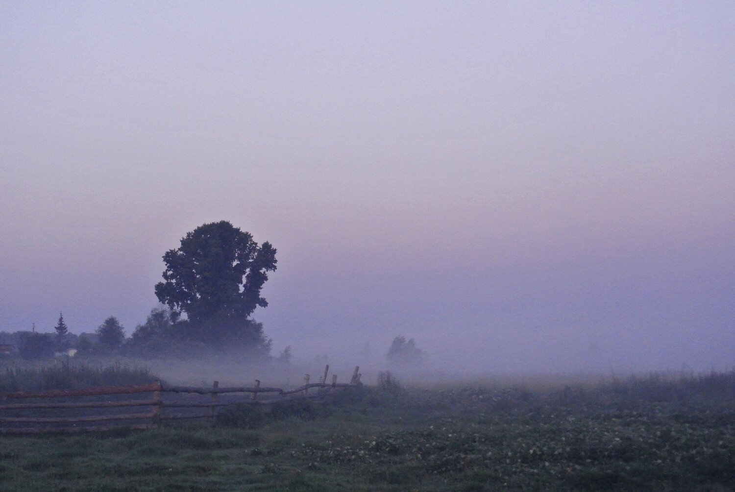 Photo #977603