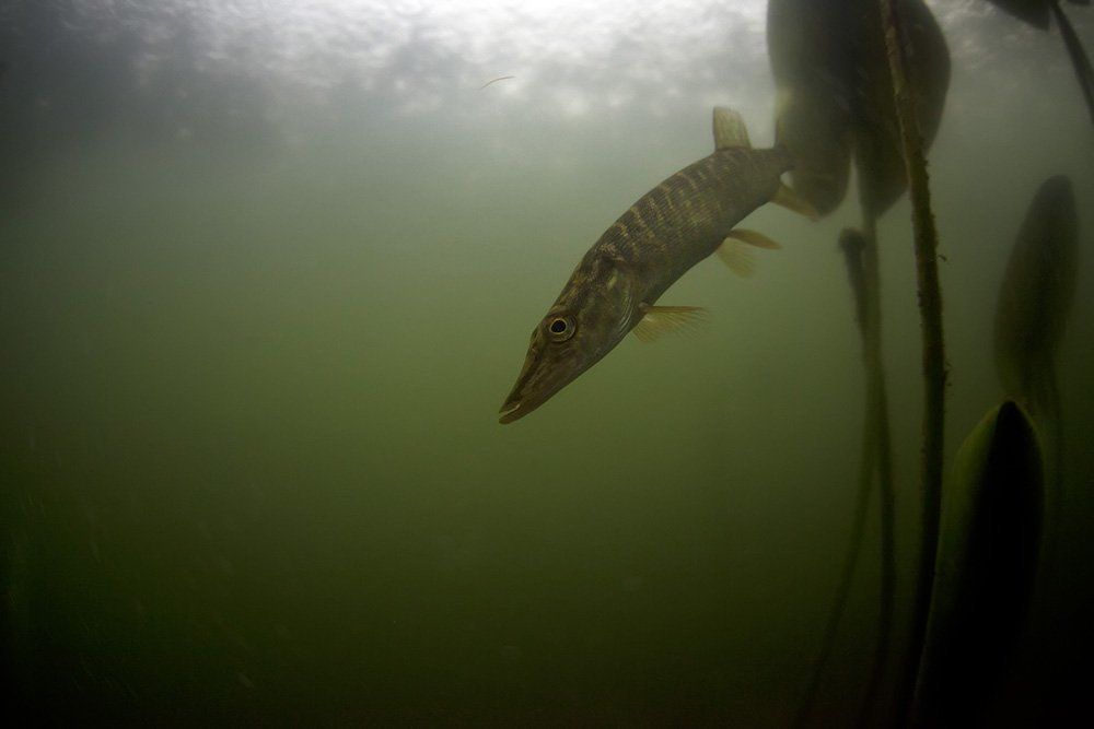 Когда наверху дождь