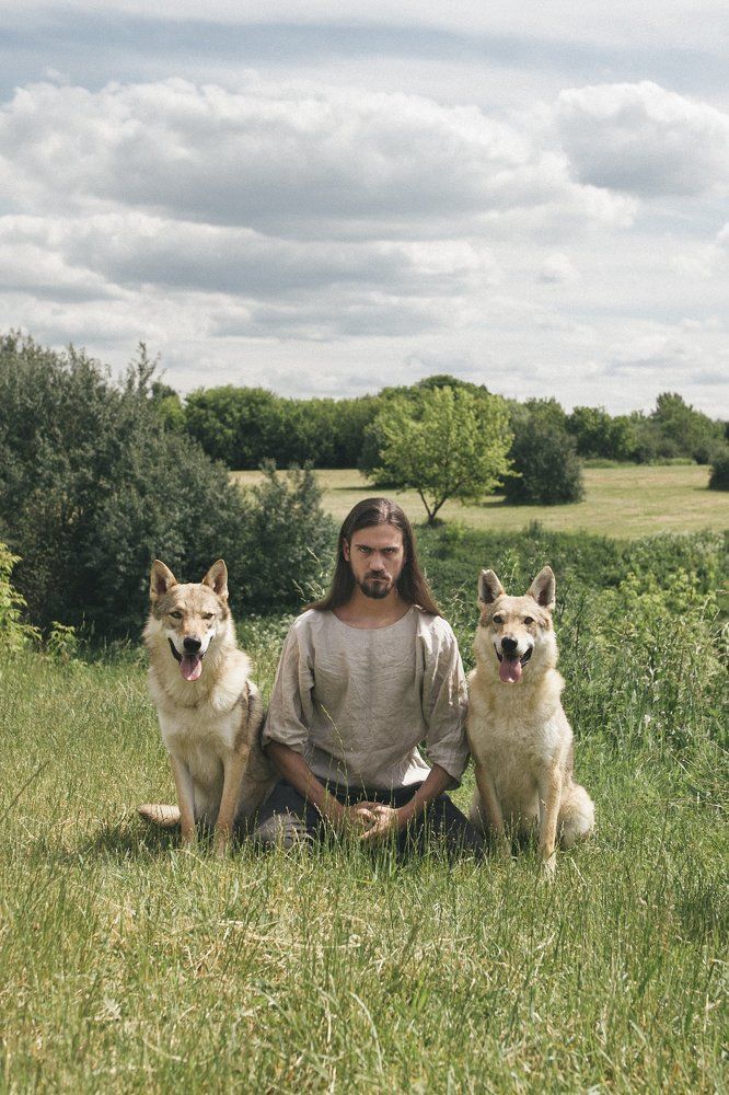 Серые стражи