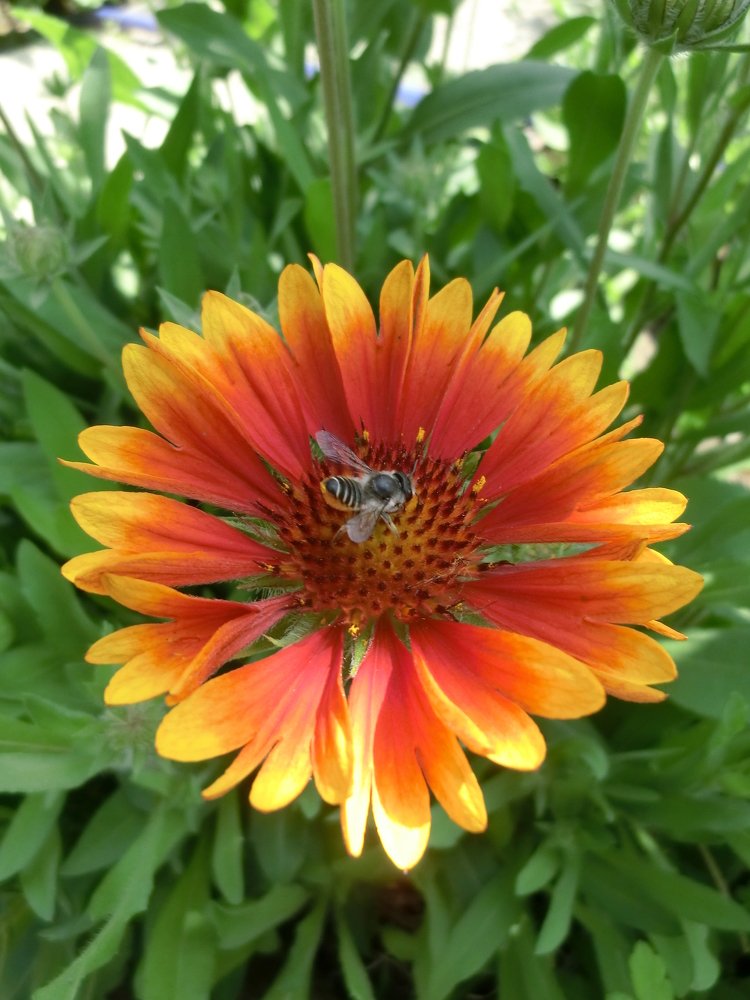 Photograph by Вячеслав Огурцов