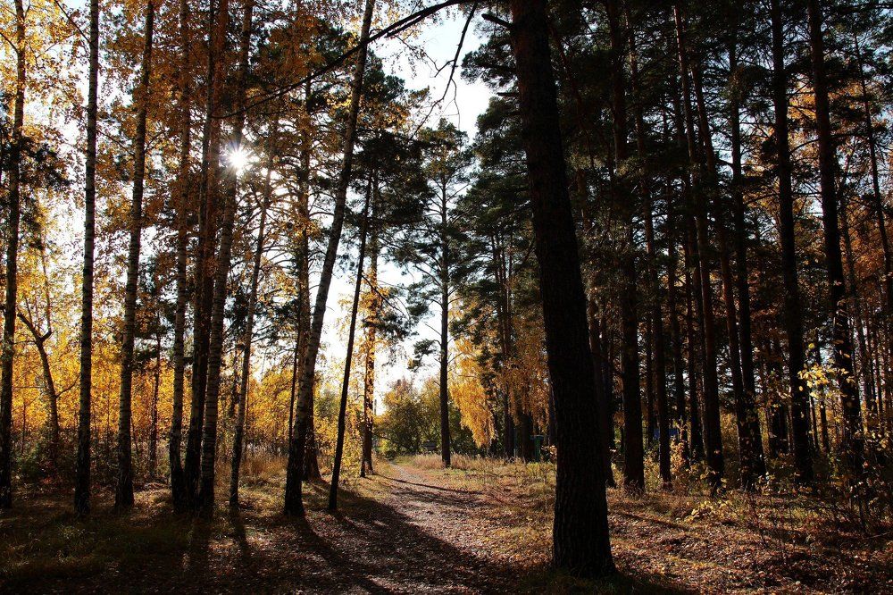 Photograph by Alexey45