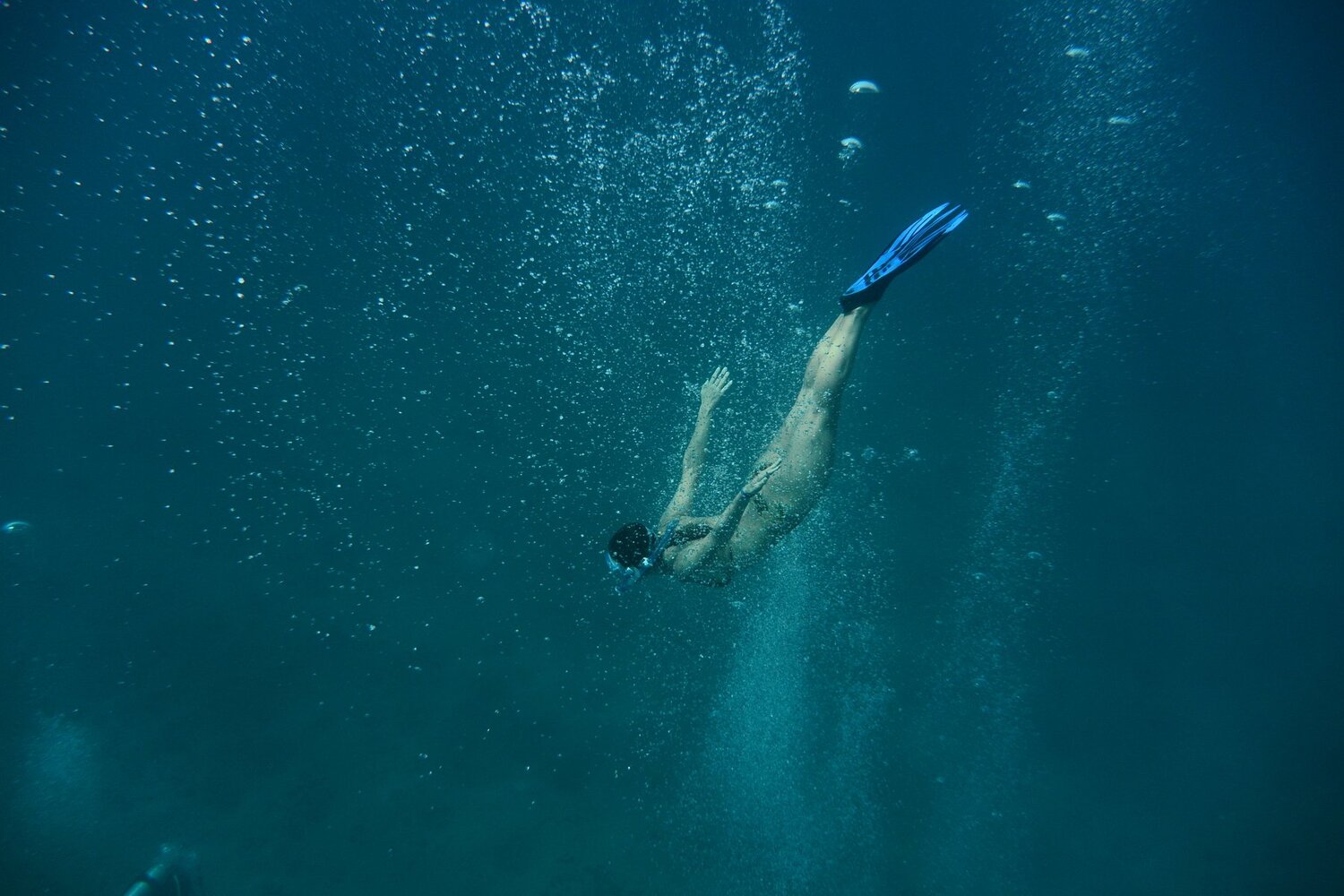 В бездне Красного моря.