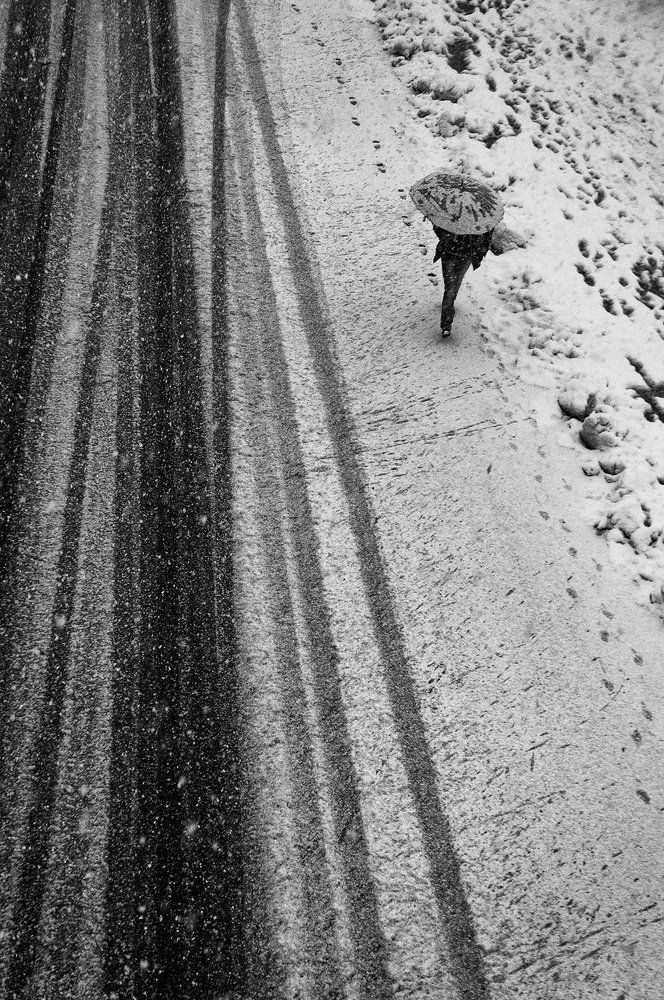 Фотография автора Nima Karimi