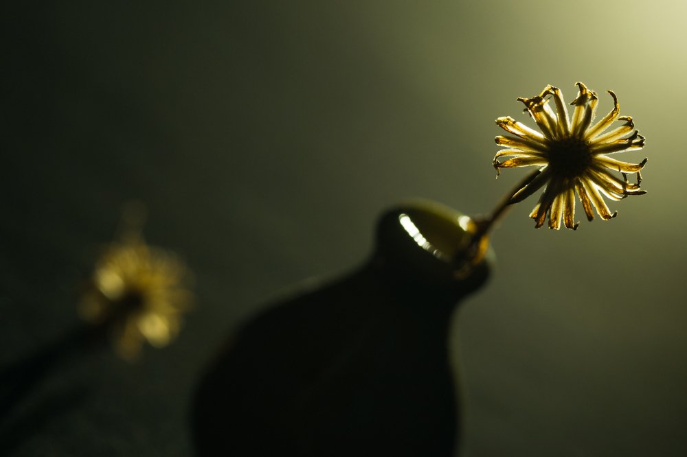 Натюрморт из миниатюр