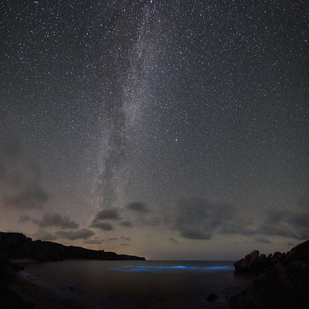 Когда море фосфорится