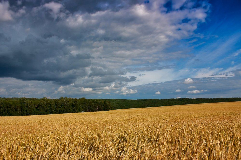 Photograph by Павел Кузьмин